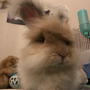 Check my Closet！Big sale for Tops！❤️